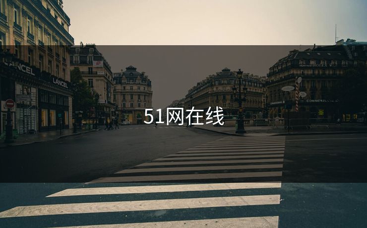 51网在线 51网在线